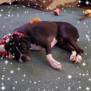 Meet your Posher, Ann-marie